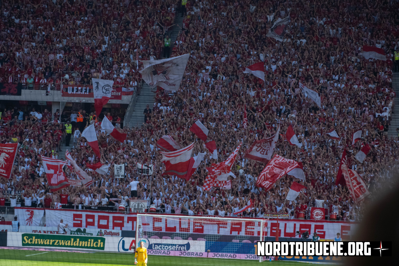 Titelbild SC Freiburg - VfB Stuttgart