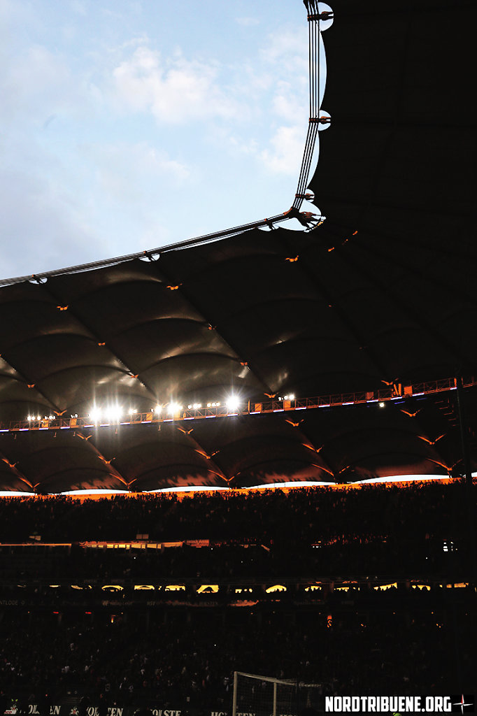 HSV-SCF-1415-016.jpg
