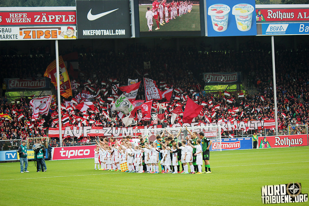 IMG-4809.jpg