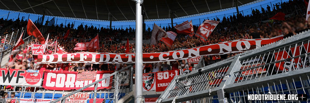 Hoffenheim-Freiburg-10.jpg
