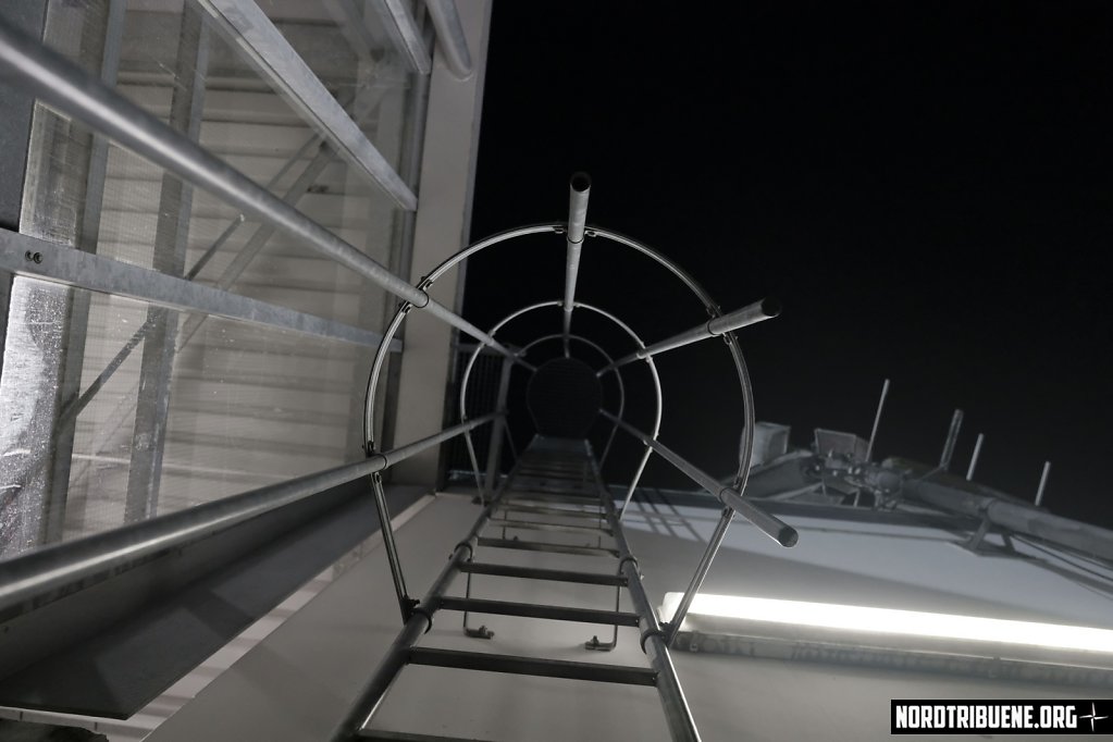 DSF3800.JPG