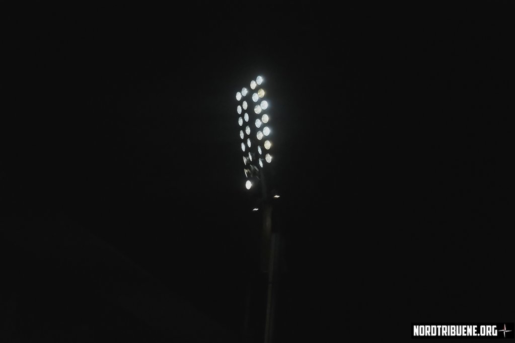 DSF3730.JPG