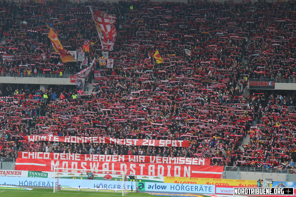 IMG-8090-Kopie.jpg