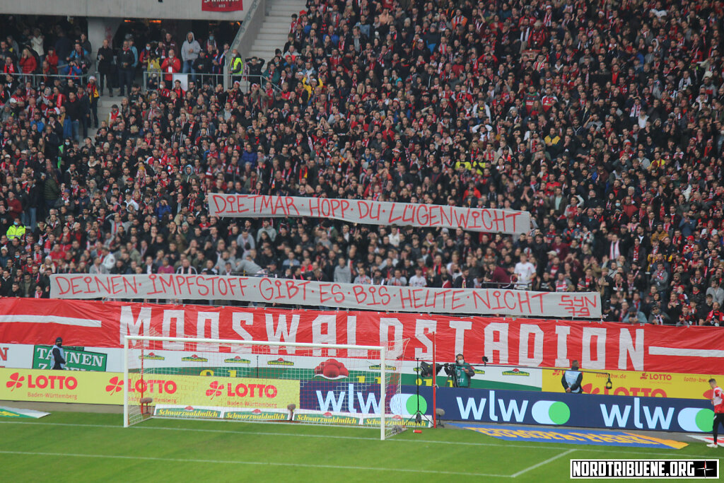 IMG-8154-Kopie.jpg